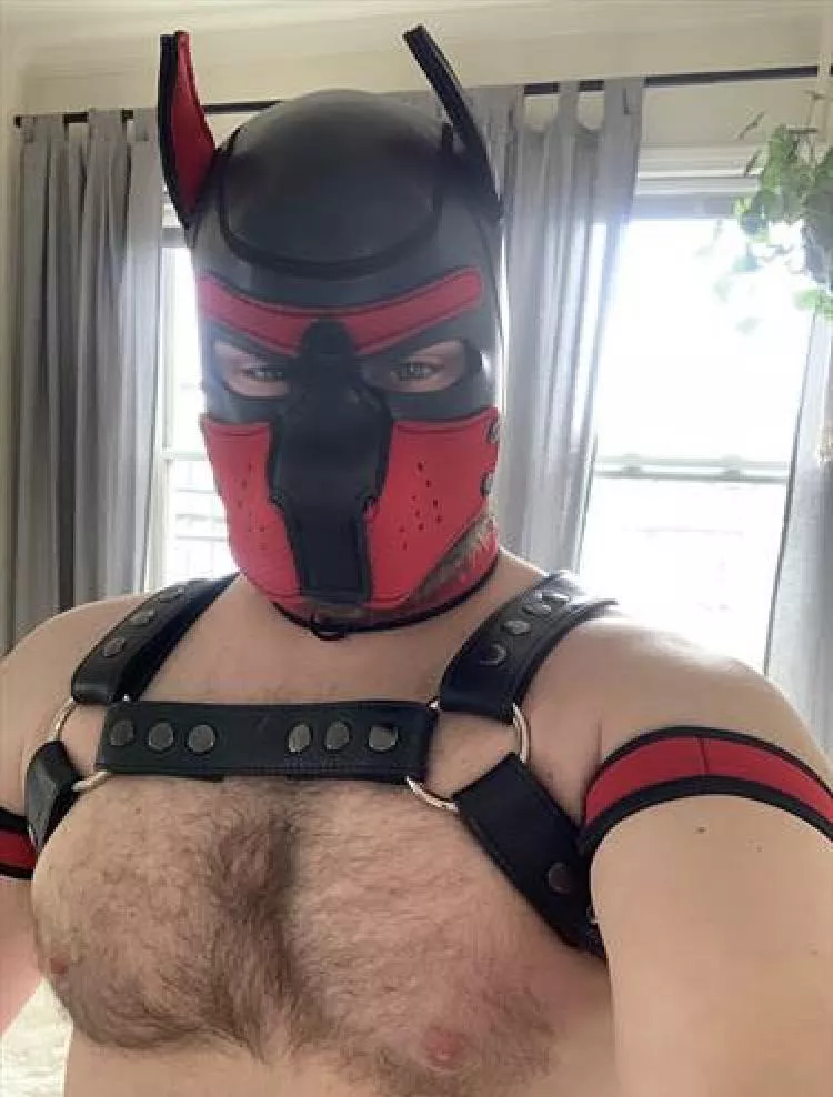 First time hooded. Feels correct. posted by imabuffaloduh