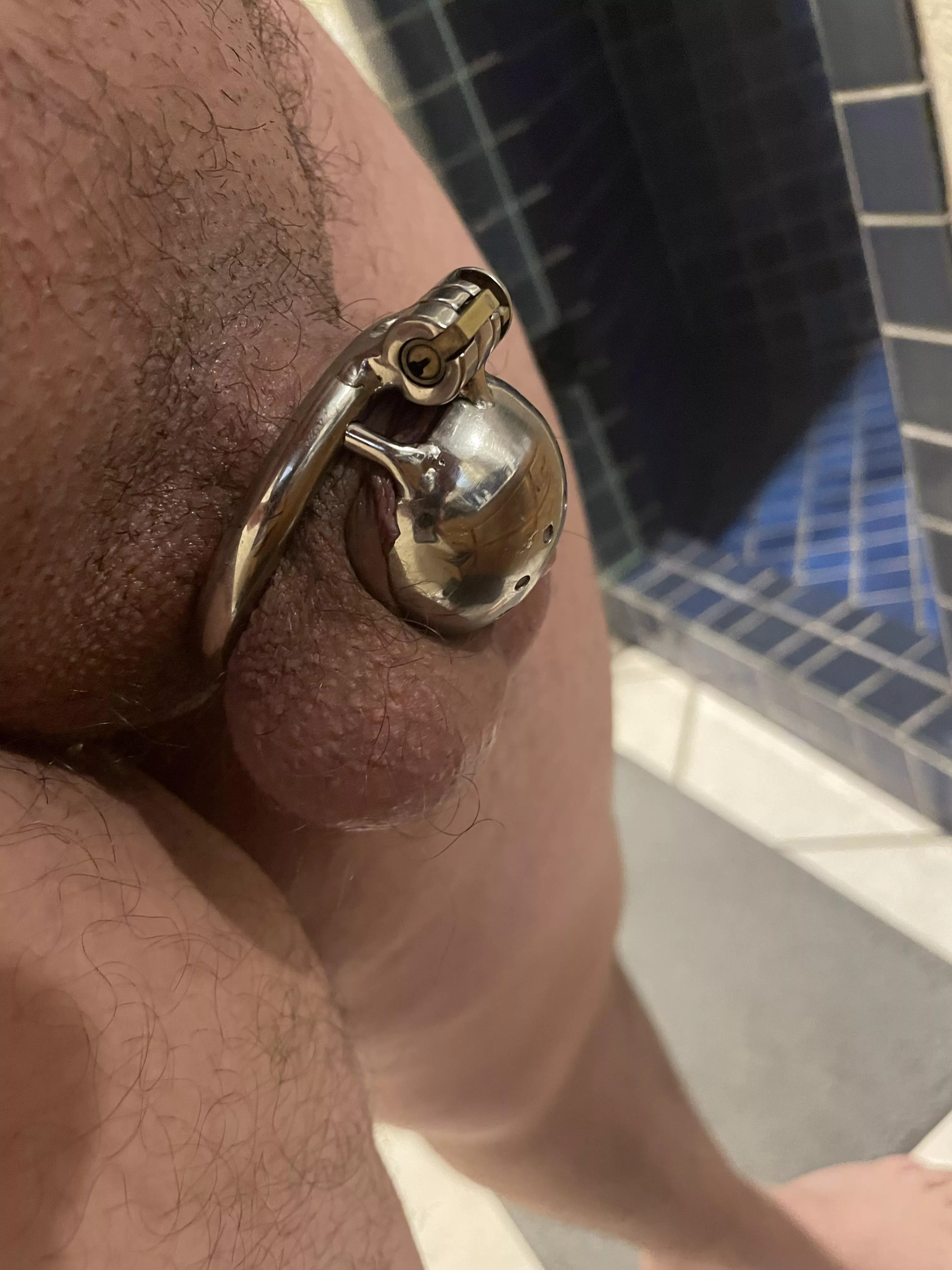 First time in chastity. How long should I go? posted by BannedDragon24