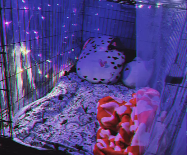 First time posting 🖤🐾 Wanted to show off my new kennel set up! by BrattyPuppi
