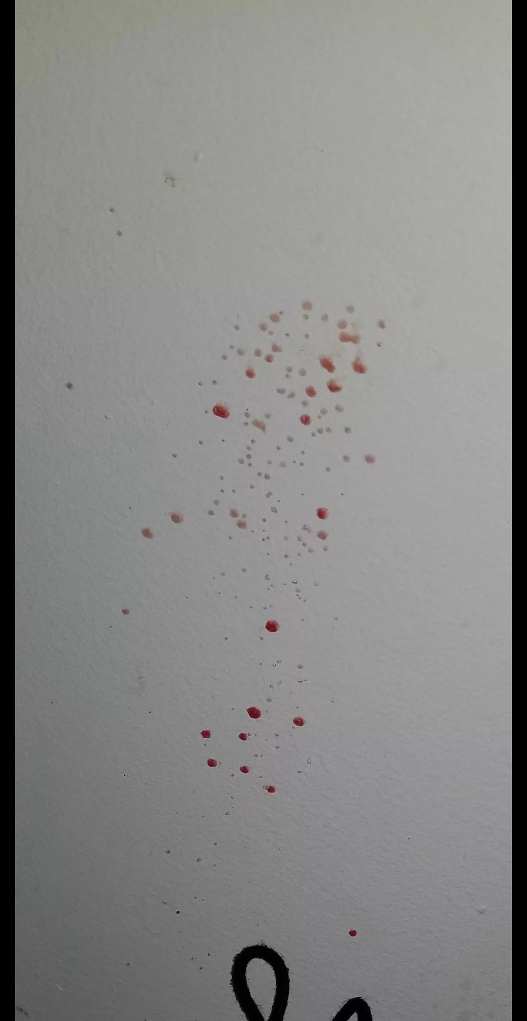 First time spraying the wall while popping a pimple. posted by Luciferbelle