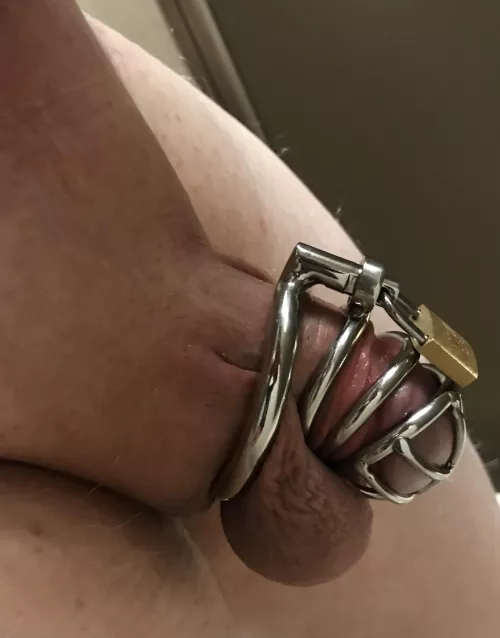 First time wearing in public by sissynola