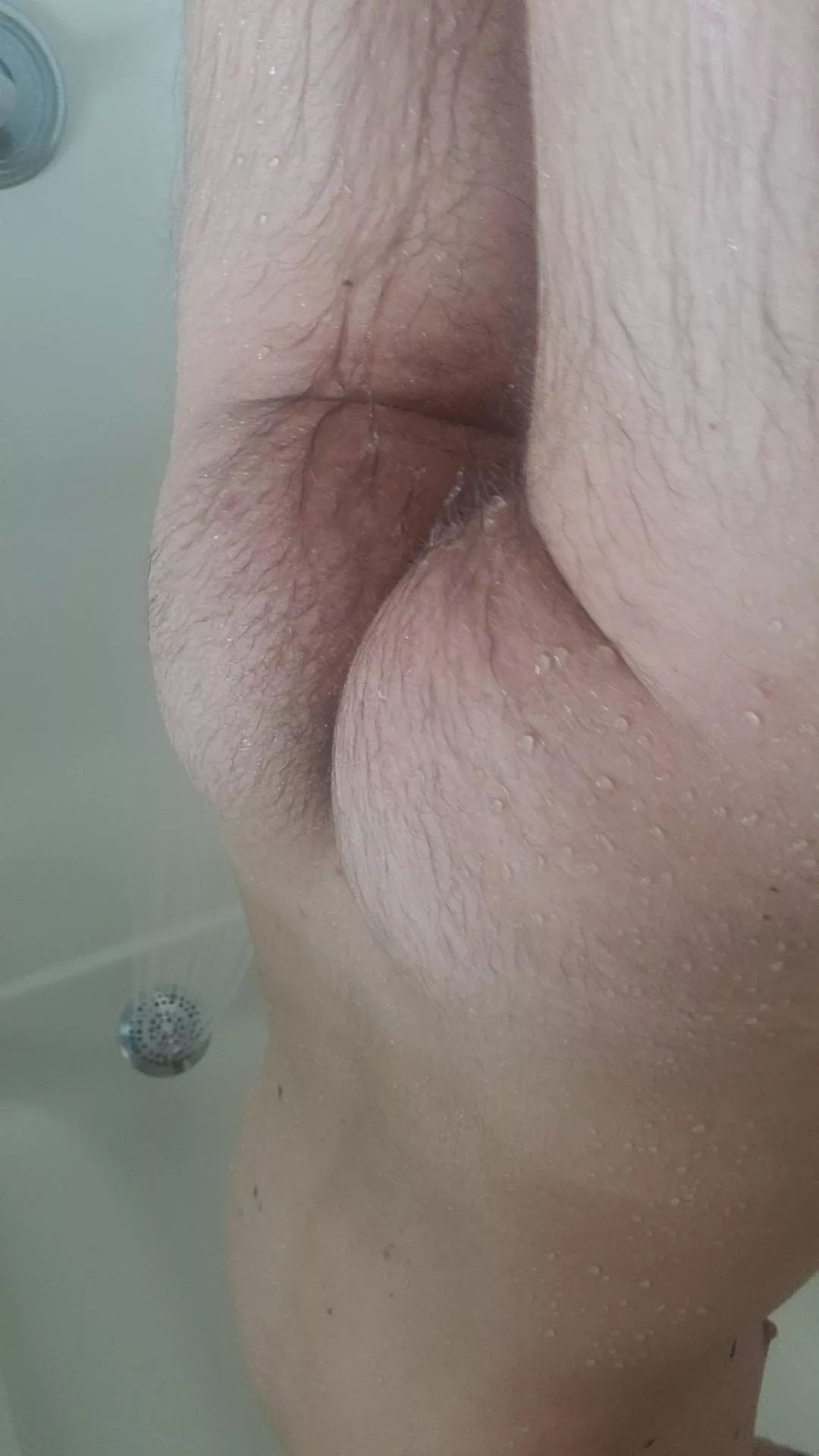 First timer here! 20 posted by funnystuff1212