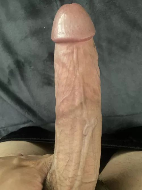 FIT HUNG BULL 8in. 28 5’9 #SOCAL TRAVEL FRIENDLY. by Bullsocal_