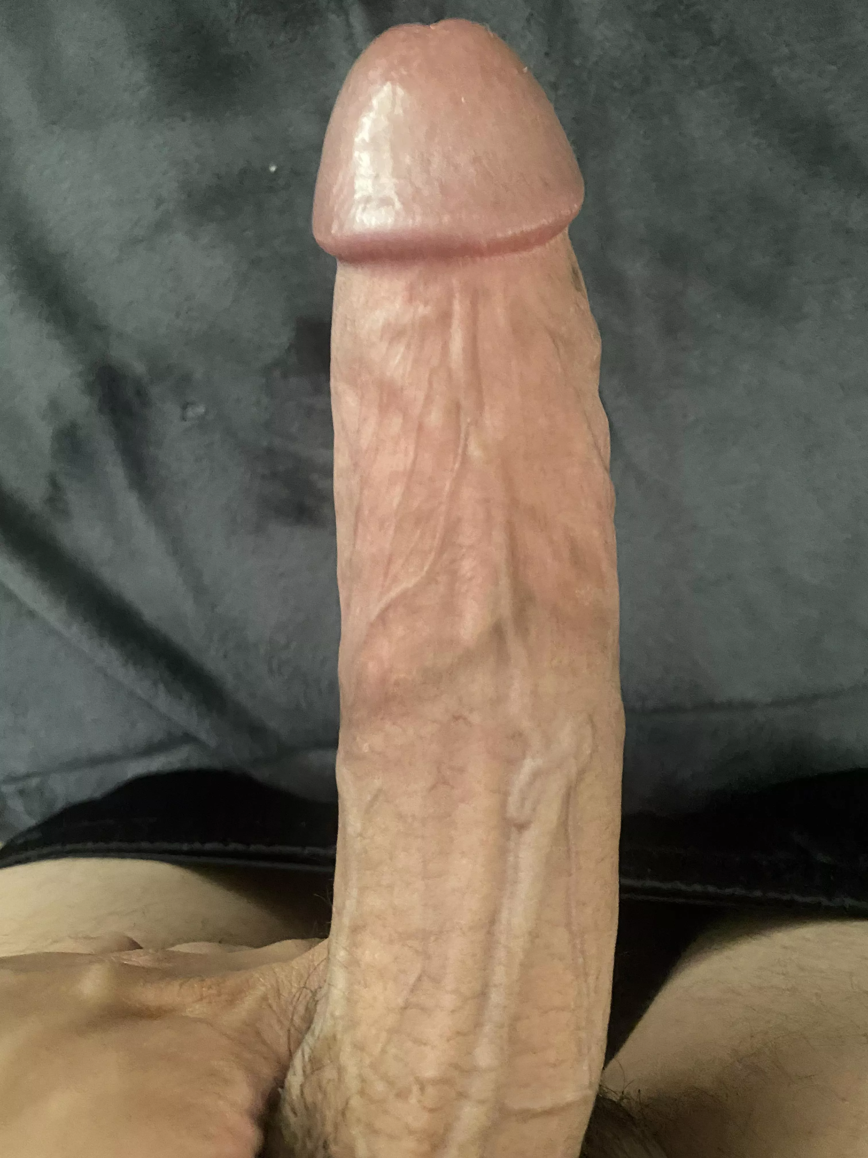 FIT HUNG BULL 8in. 28 5’9 #SOCAL TRAVEL FRIENDLY. posted by Bullsocal_