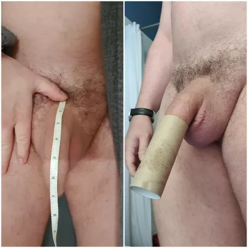Flaccid length and girth by Max_Orgasms