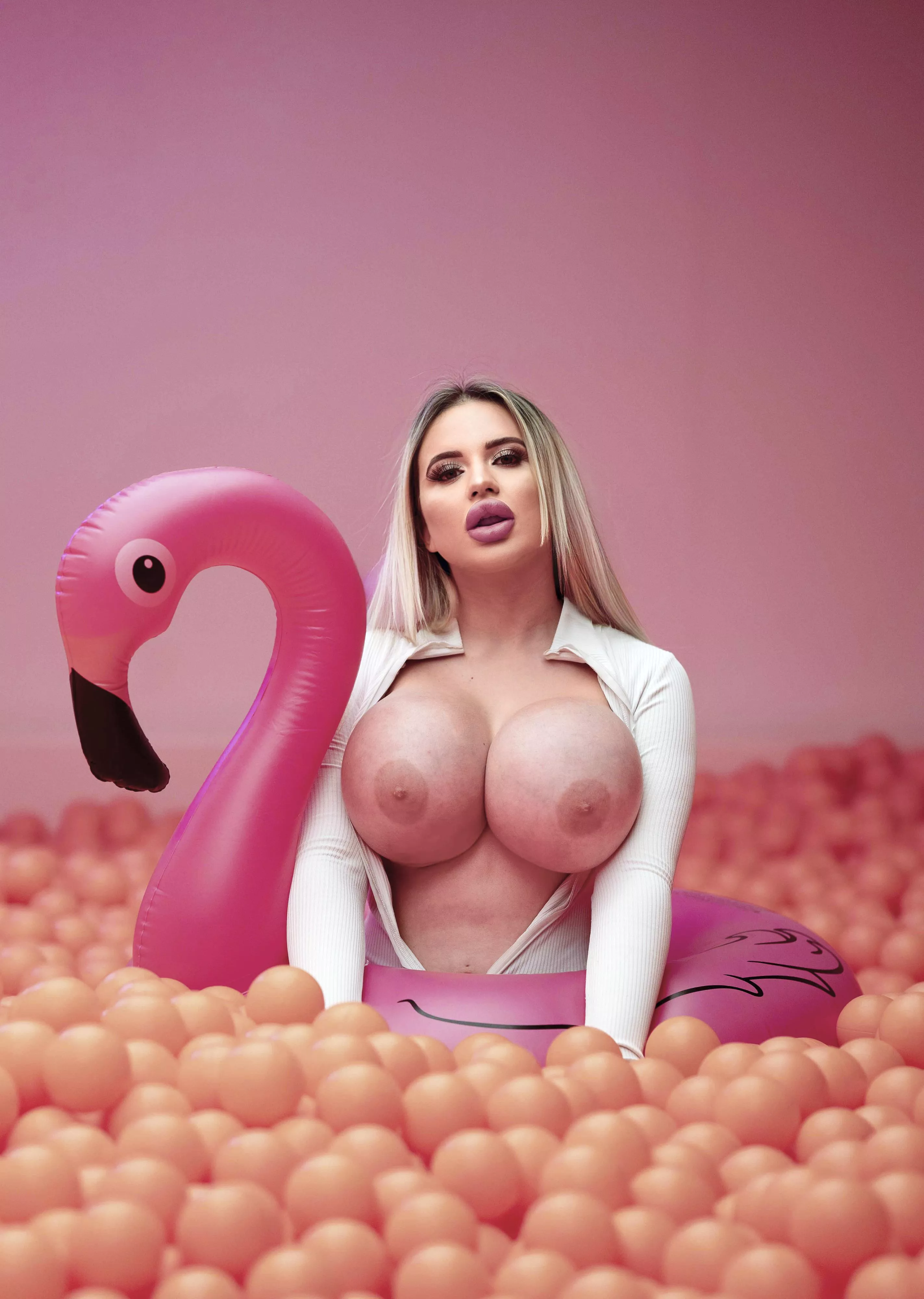 Flamingo! posted by Jessy_Bunny