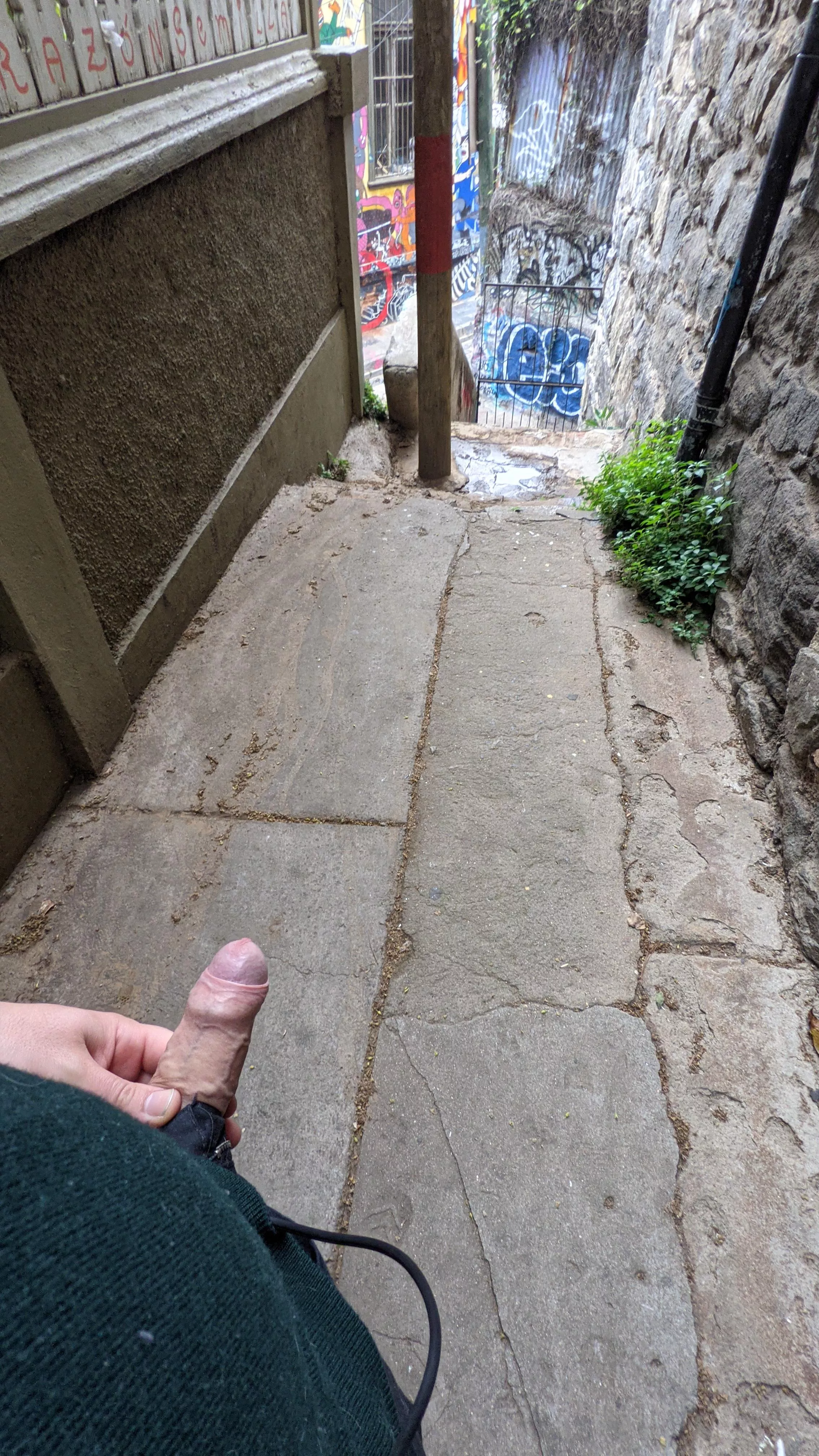 Flashing Dick Street. Espero les guste a los vecinos posted by jotecal