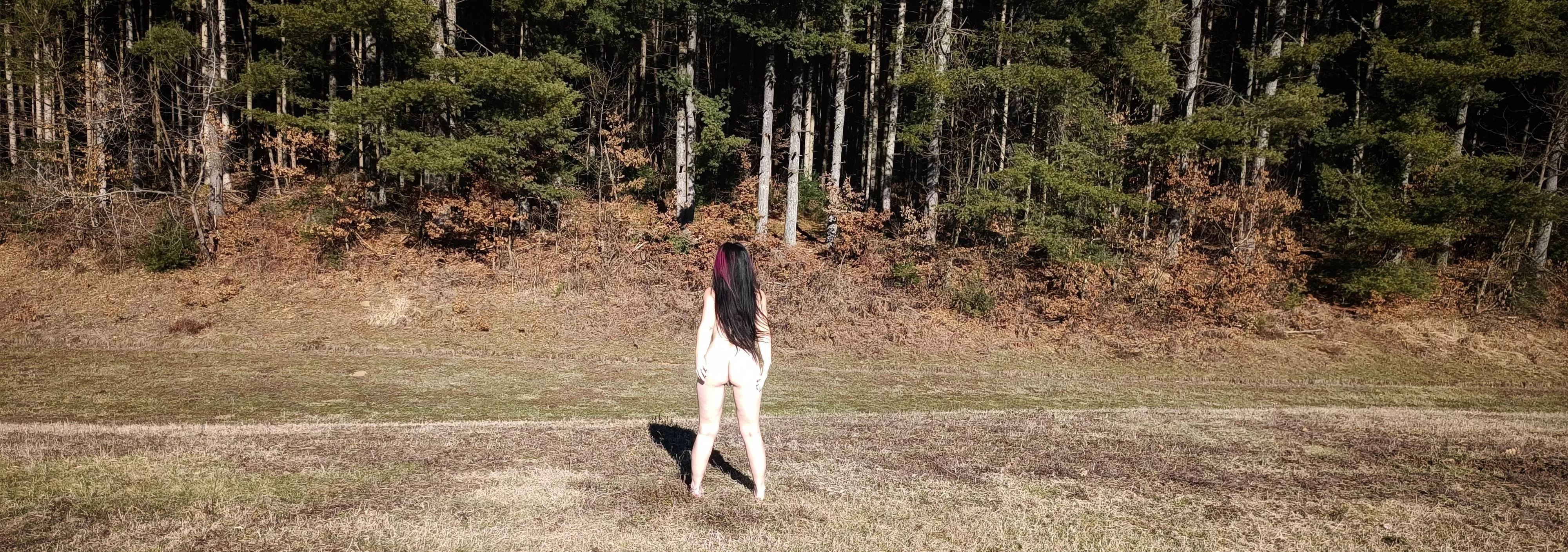 Flashing the forest! posted by emily_glass909