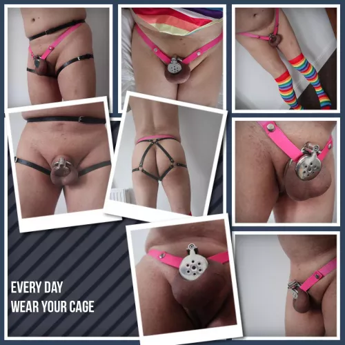 Flat cage, pink support belt. by smallergent