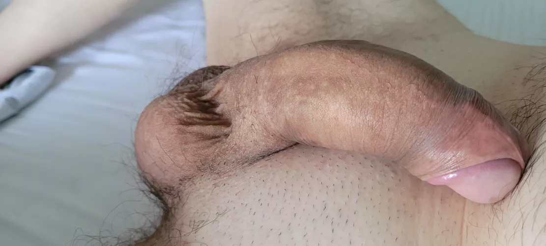 floppy boy by randomanix