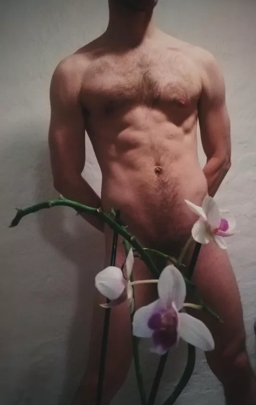 Flowering by whistlingkitedragon