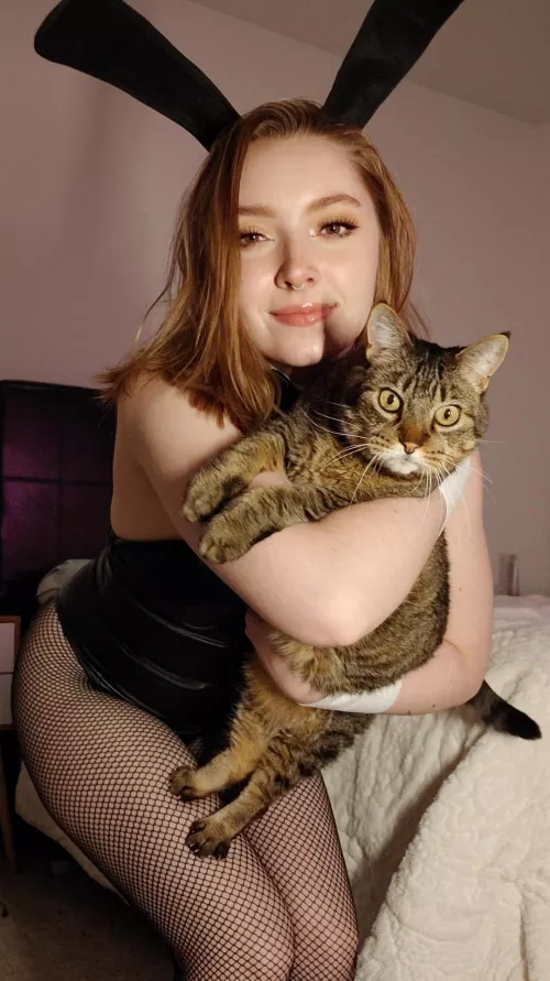 Fluffy kitty and cute bunny, what combo could be better? 😋 by bowiebe2