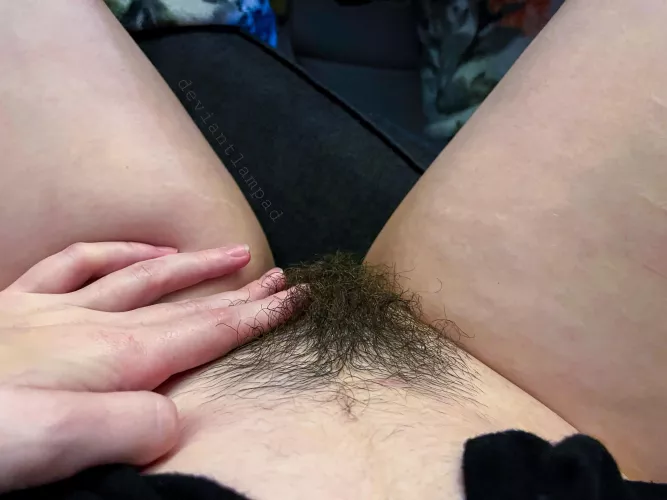 fluffy & soft like a pillow 😇 by deviantlampad