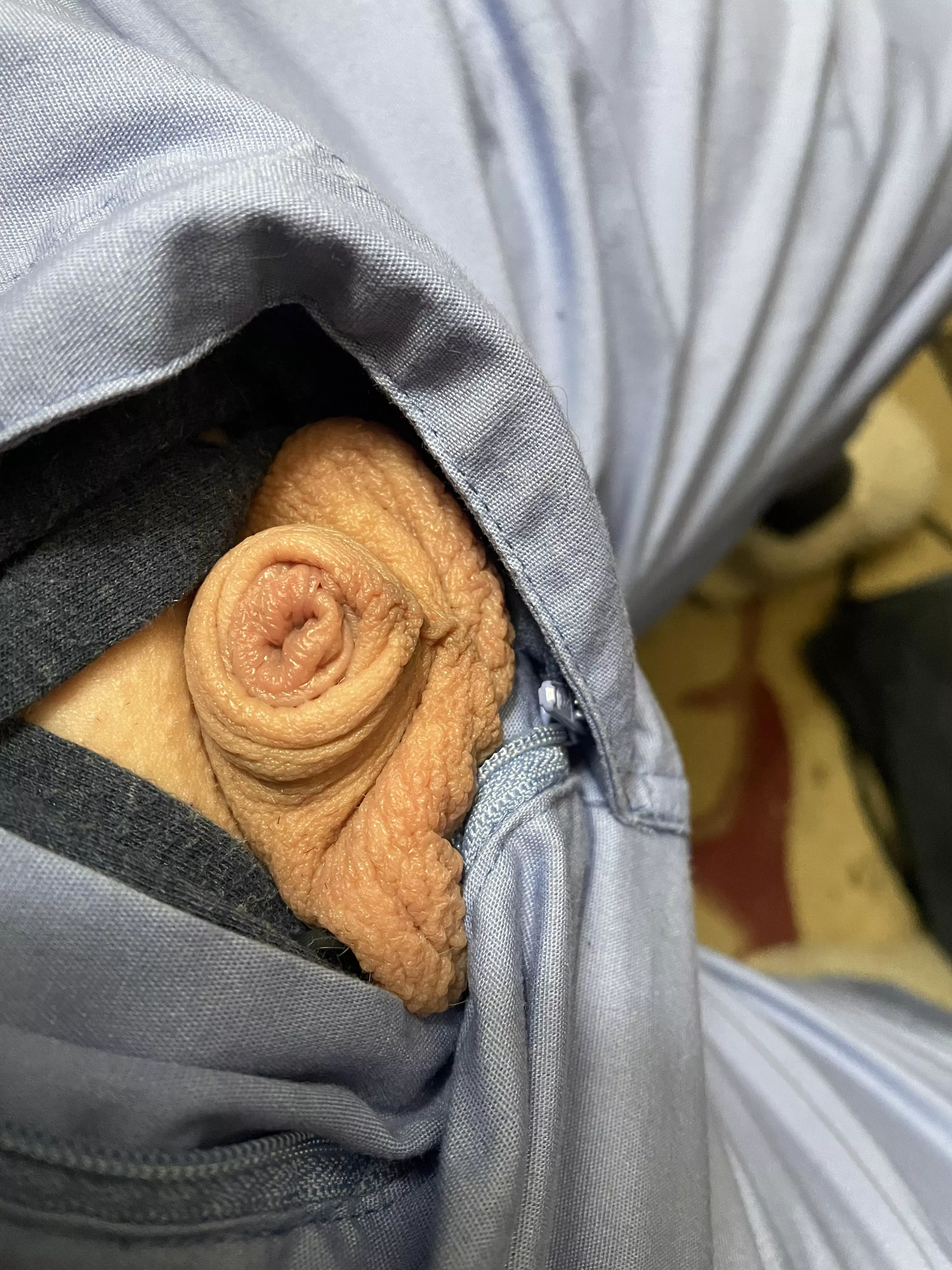 Fly open (40) posted by Friendly-Jacket-1793