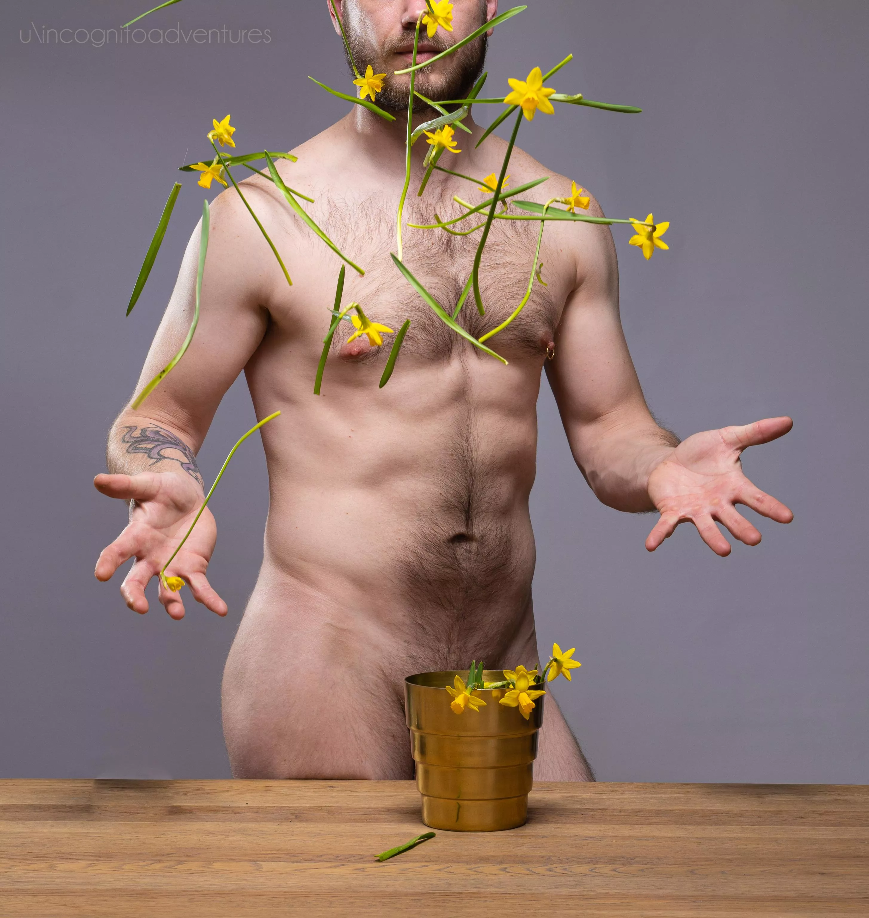 Flying daffodils posted by incognitoadventures