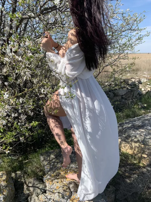 [f][oc] by OfromOphelia