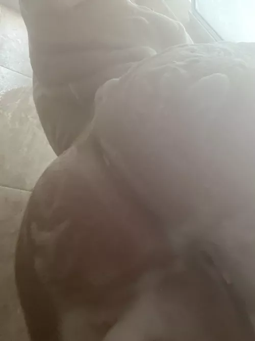 Foggy by mirandapopsit