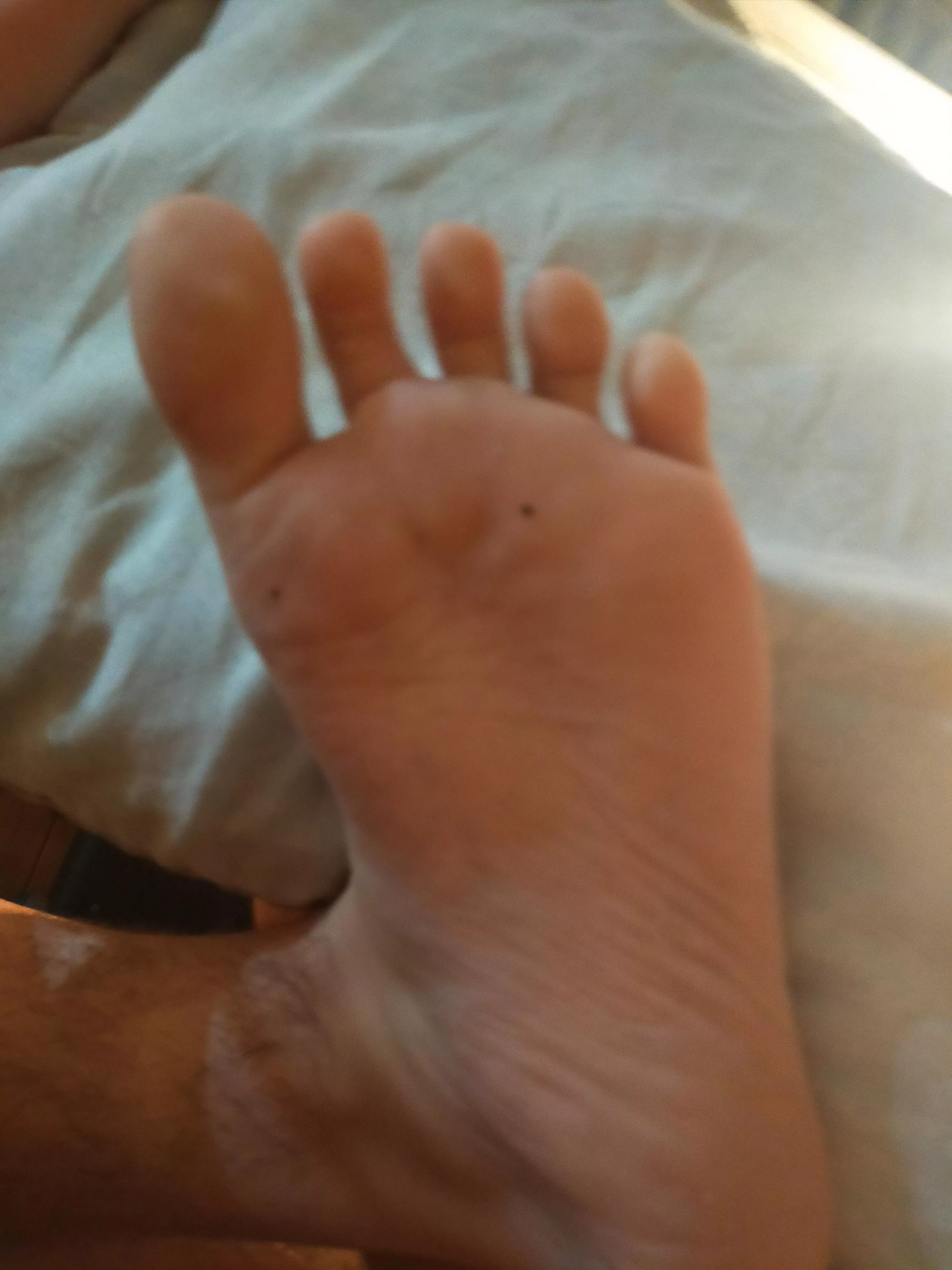 footjob? posted by SoftFemboyThighs