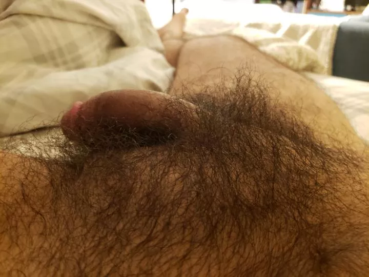 For the love of pubes posted by nakednicky123