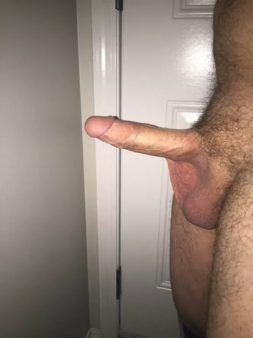 for those who enjoy. by blue-whale619