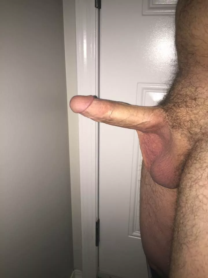 for those who enjoy. posted by blue-whale619