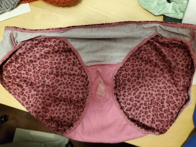 For whatever reason she seems to cream this pair more than the others. I often smell these while I jerk off onto her other pairs by WonderfulList9137