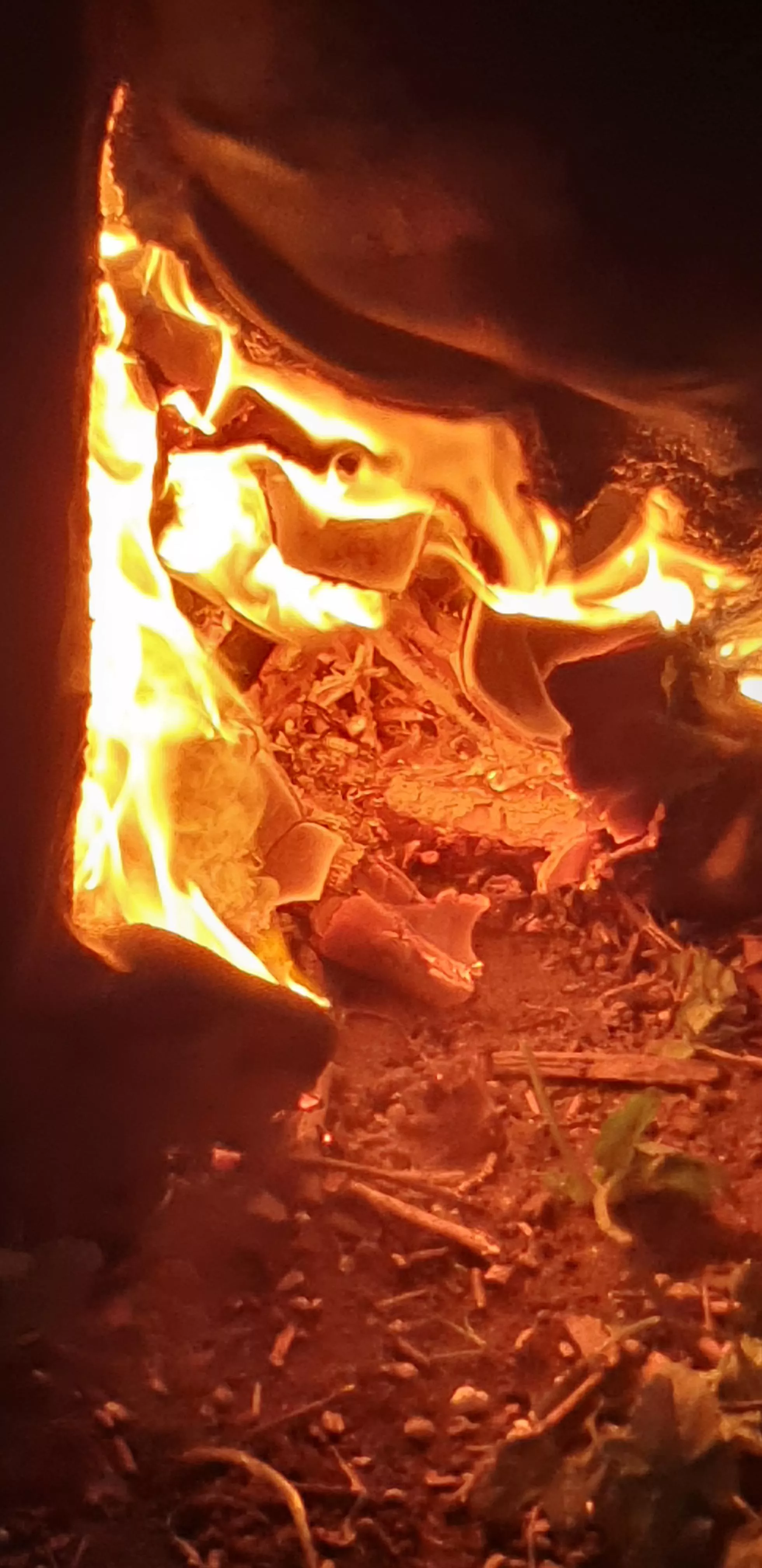 forbidden gloryhole posted by dhrhhtht