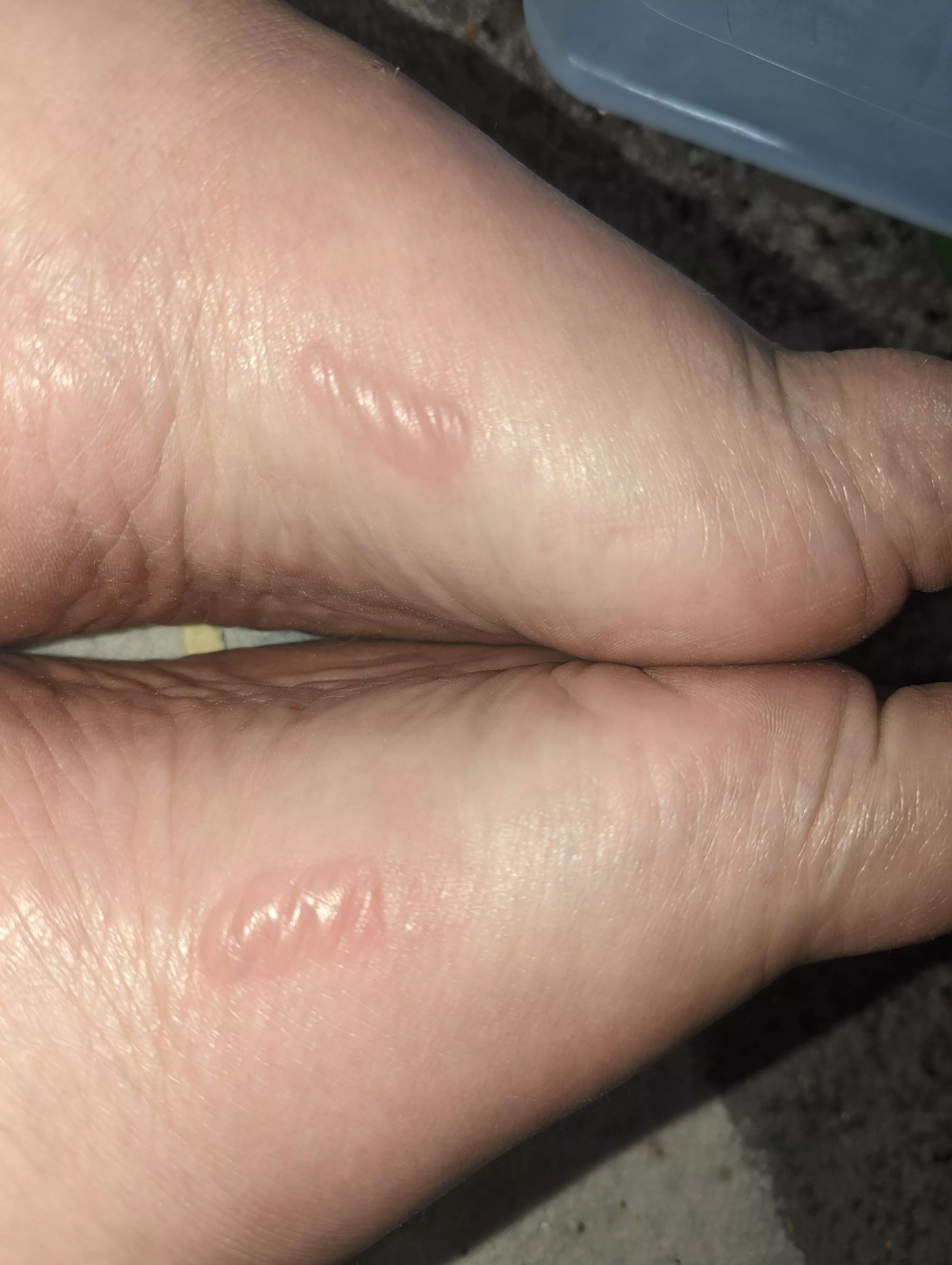 Forbidden Pop from new shoes posted by Imim5