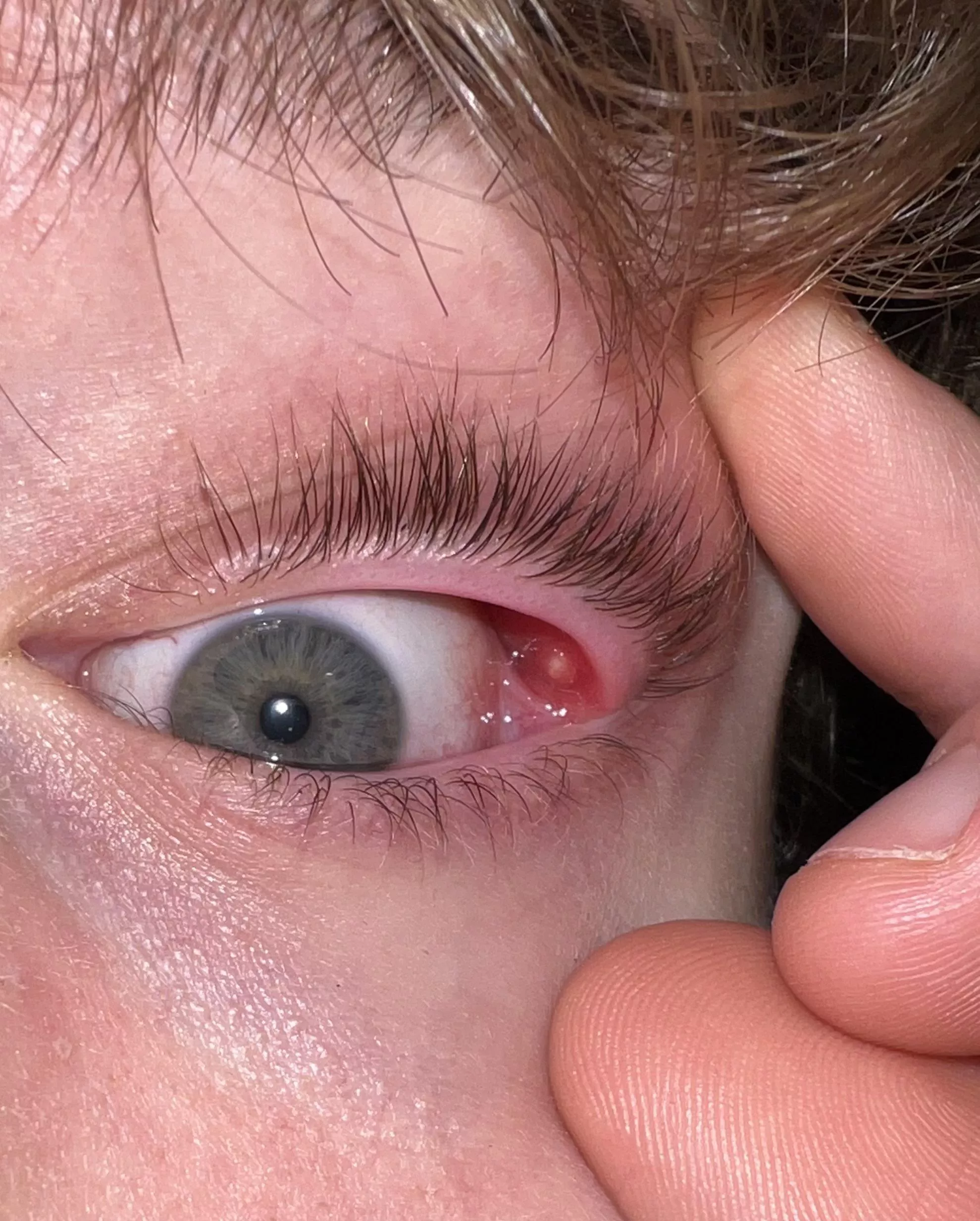 Forbidden Pop- internal stye posted by 02goose
