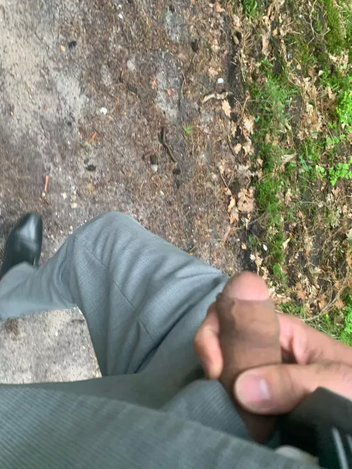 Forest walk by No_Lengthiness3932