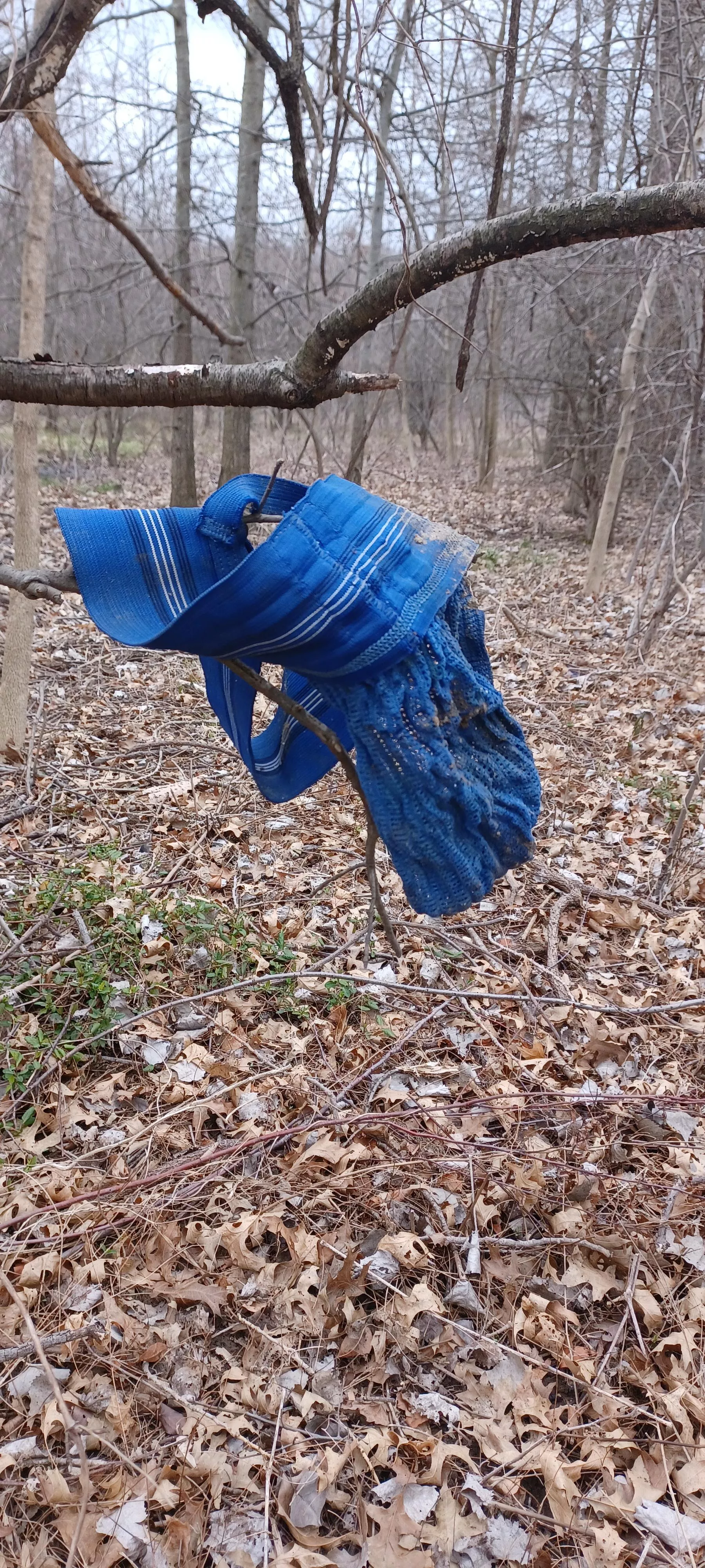 found in the wild posted by Andi140