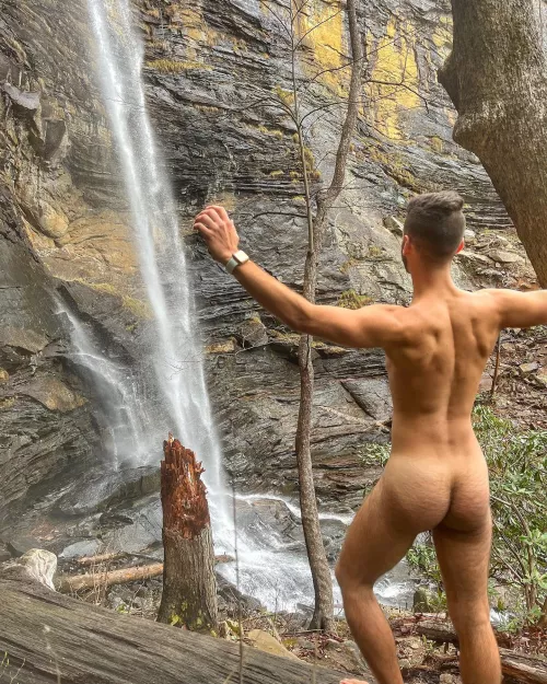 Free as a bird by Vinny_Verse