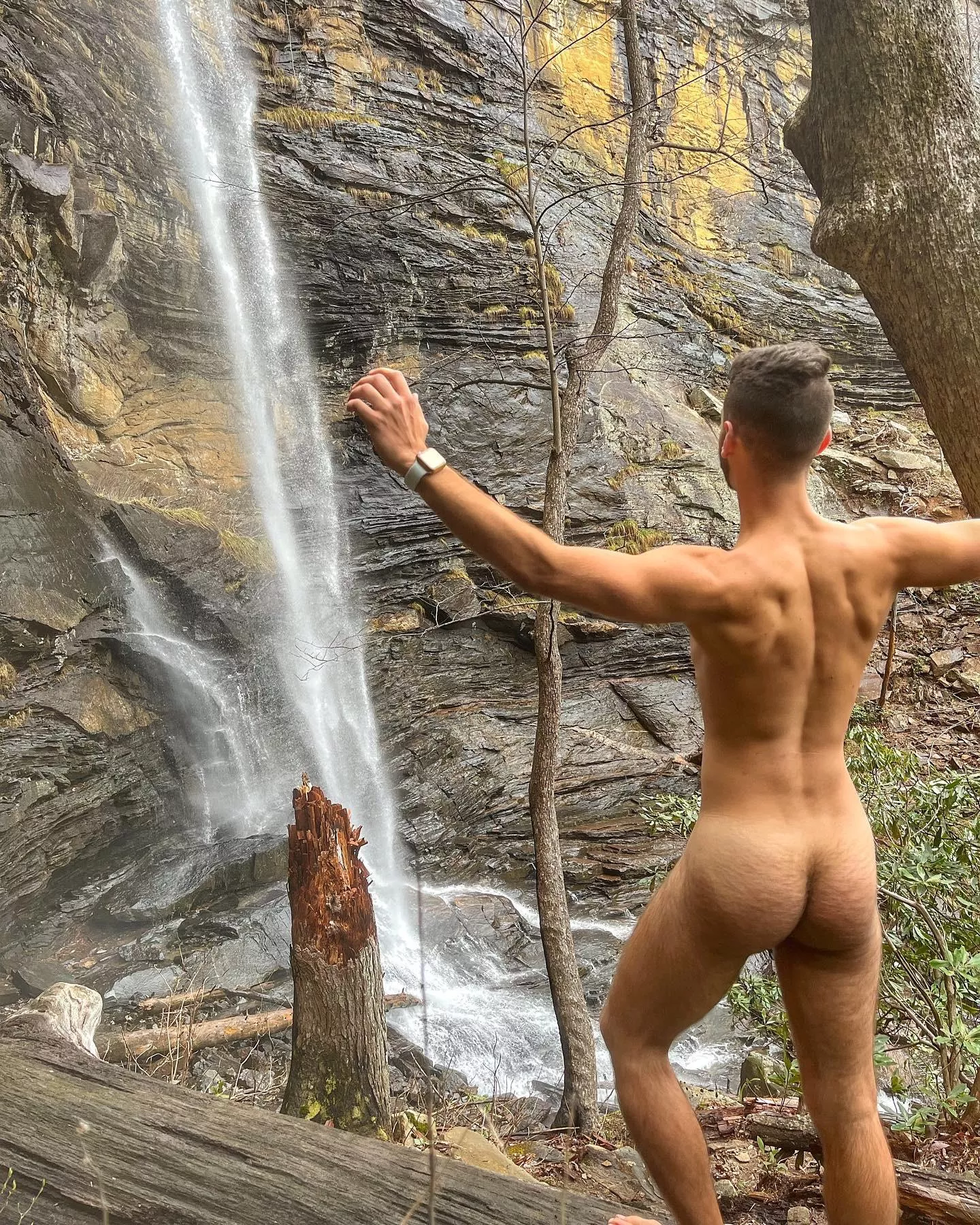 Free as a bird posted by Vinny_Verse