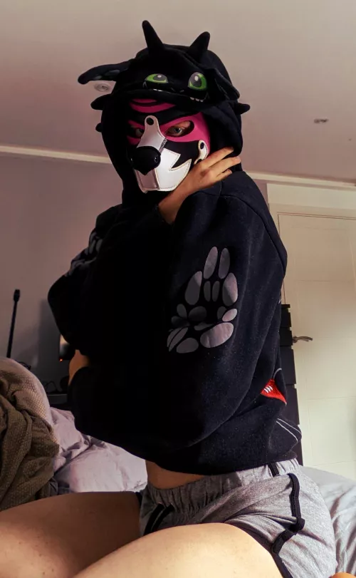 free hugs🐶🥰 by trytry243