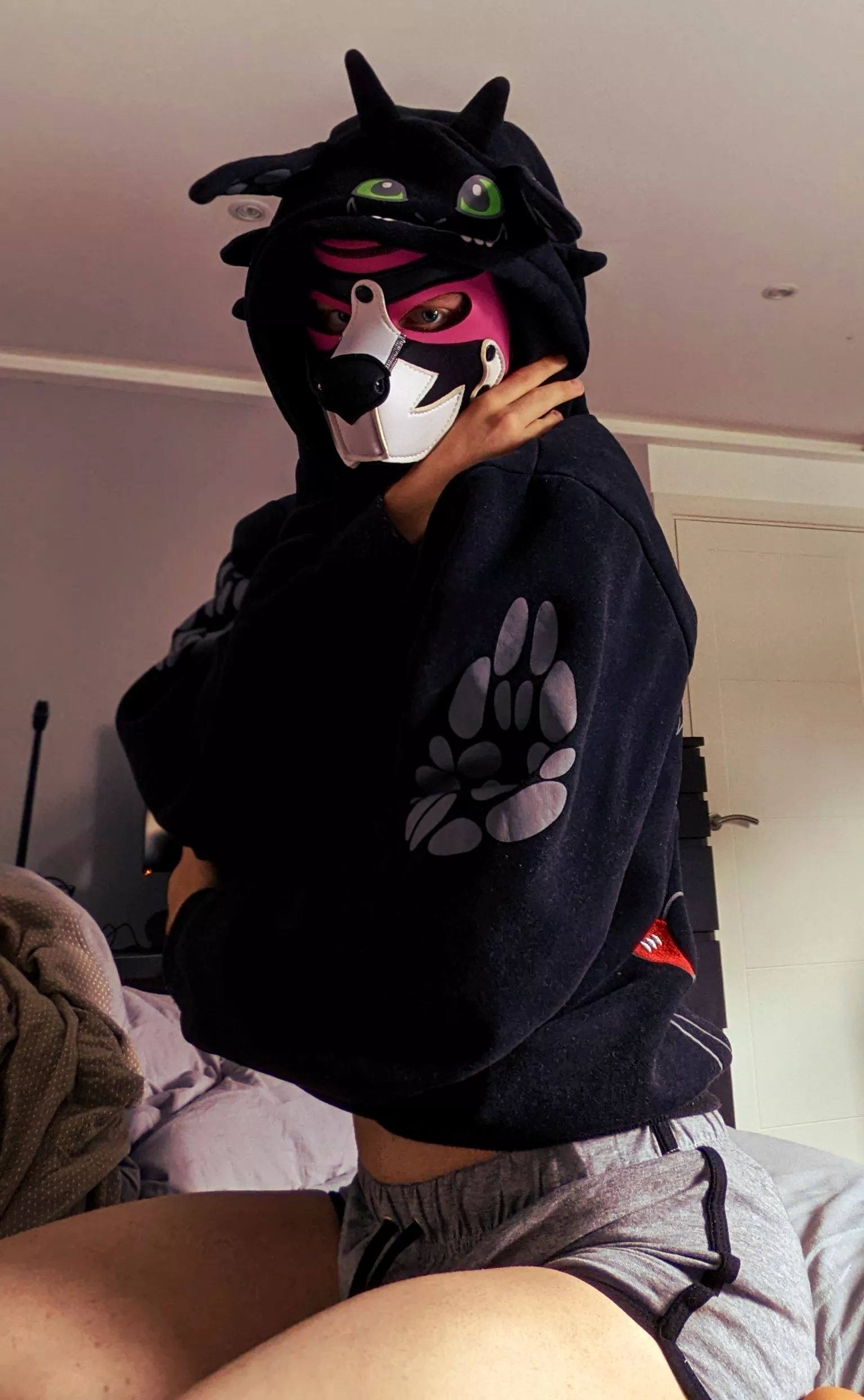 free hugs🐶🥰 posted by trytry243