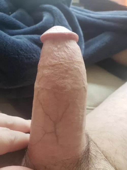 Free by thegreatcorholio