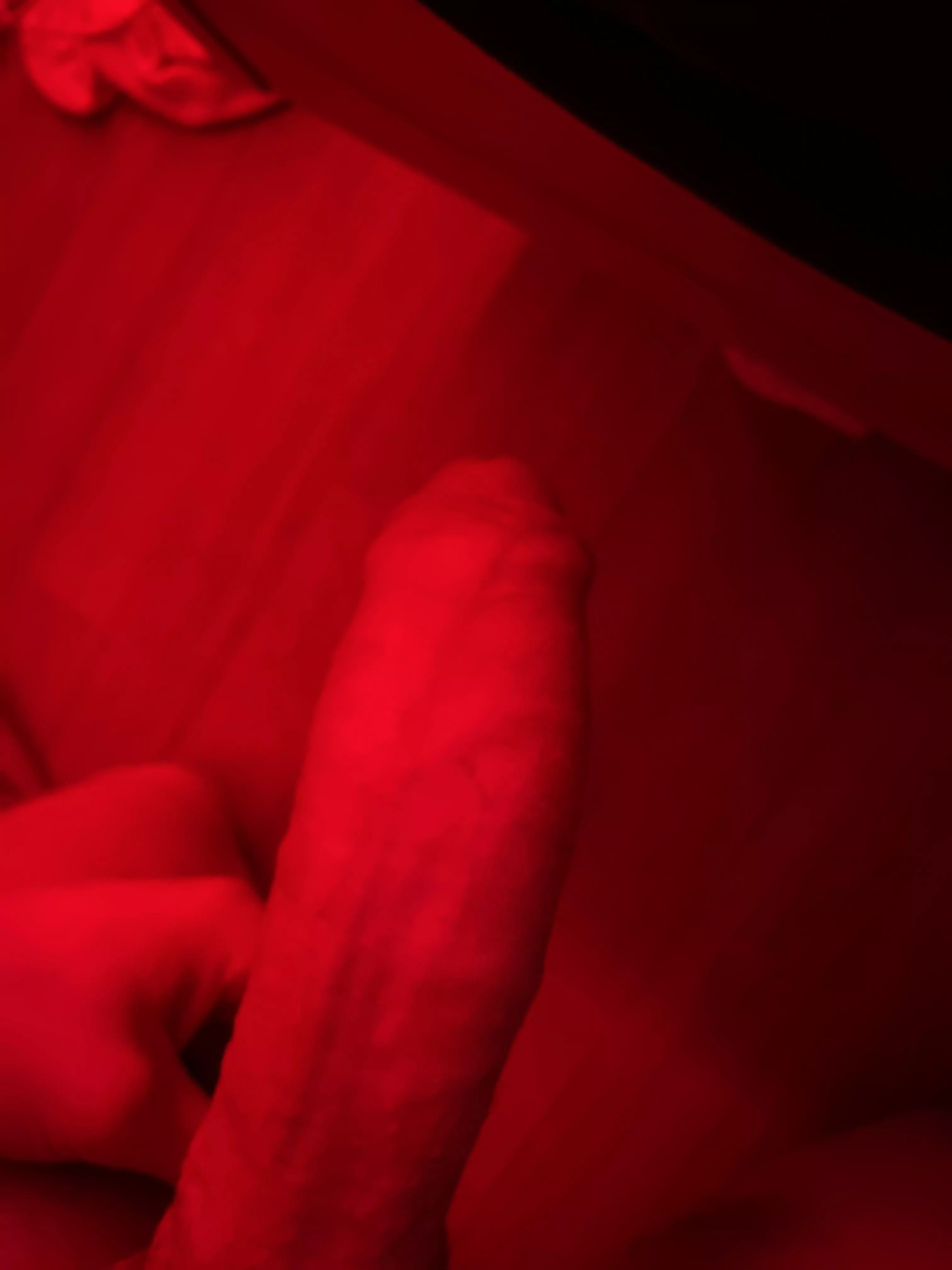 French cock Dm me for more posted by mireille1231272727