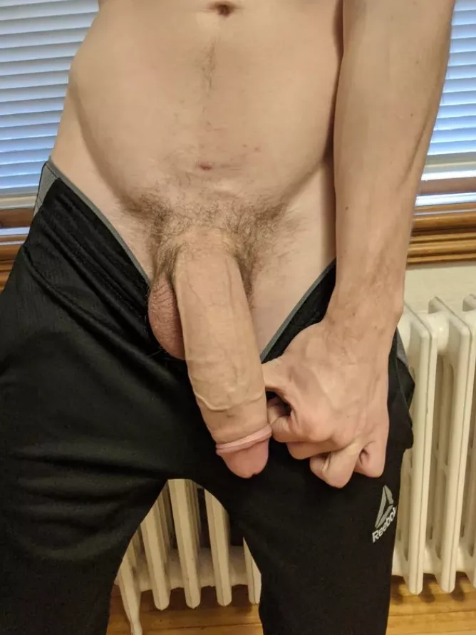 Fresh 18 yo posted by Ok-Document8543