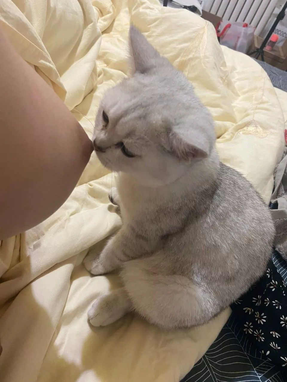 fresh food posted by sondsmv