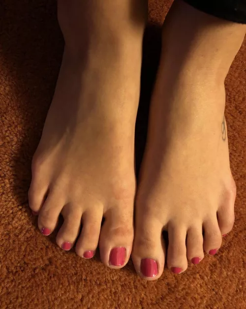 Fresh paint for your pleasure by flyingwombat7