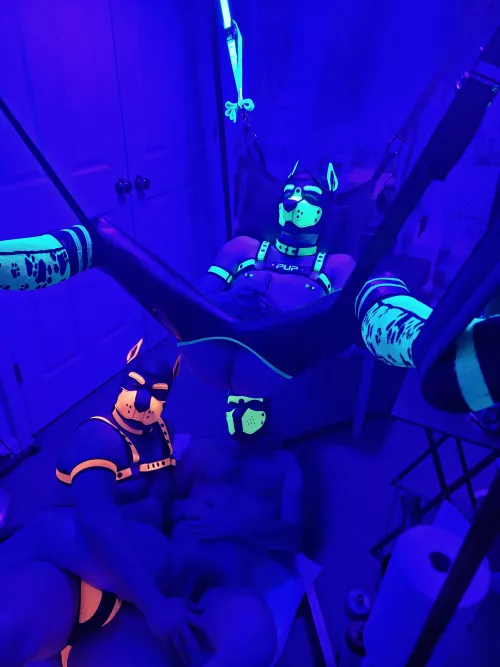 Freshly bred while the pack waits to be fed 😂😂😈💦 by Pup_Piston