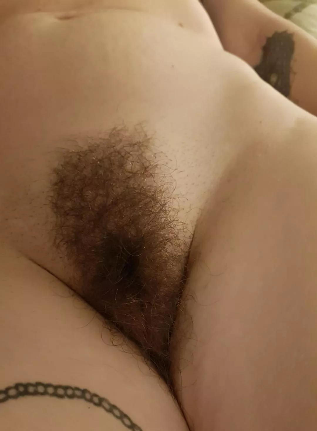 freshly trimmed pussy posted by Overall_Shake2102
