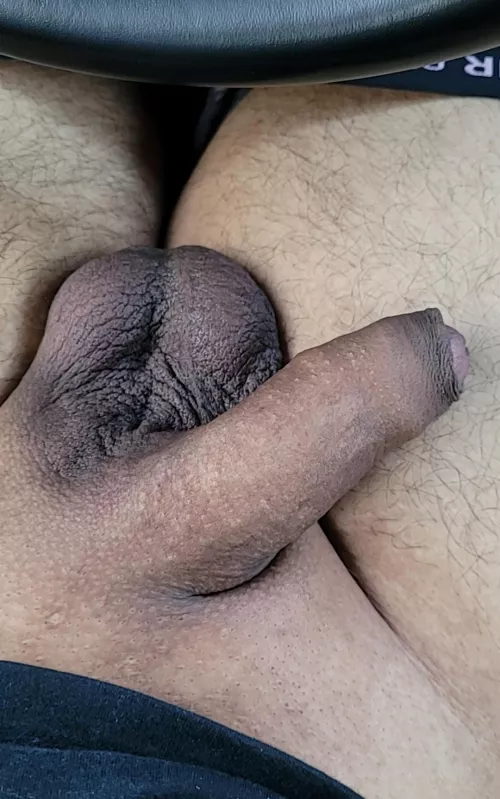 freshly waxed softy anyone? by UnstoppableMayo