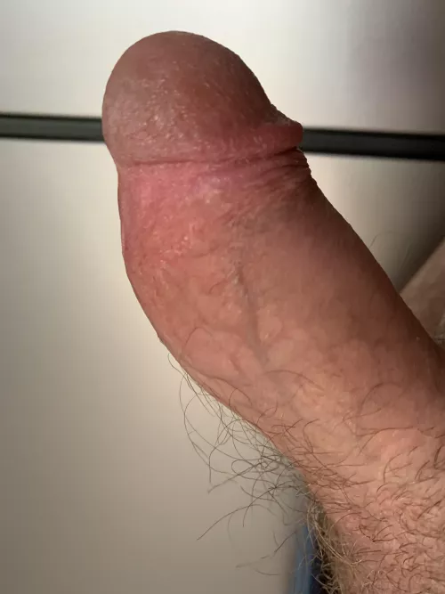 Friday fun with this fella (45) by coop197