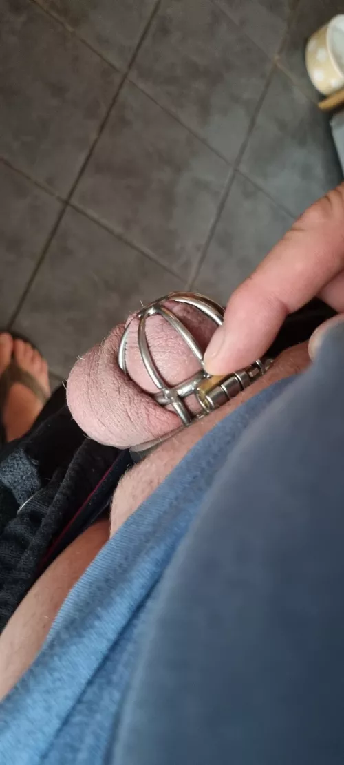 From 8 inches to less than 1. All because she didn't like how the cage looked with my jeans by Prestigious-Hat8779