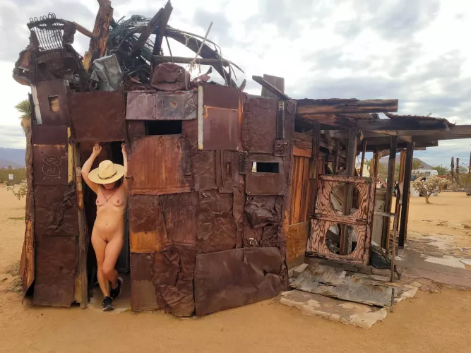 From a weird & wonderful desert art museum by BareLeiaRose