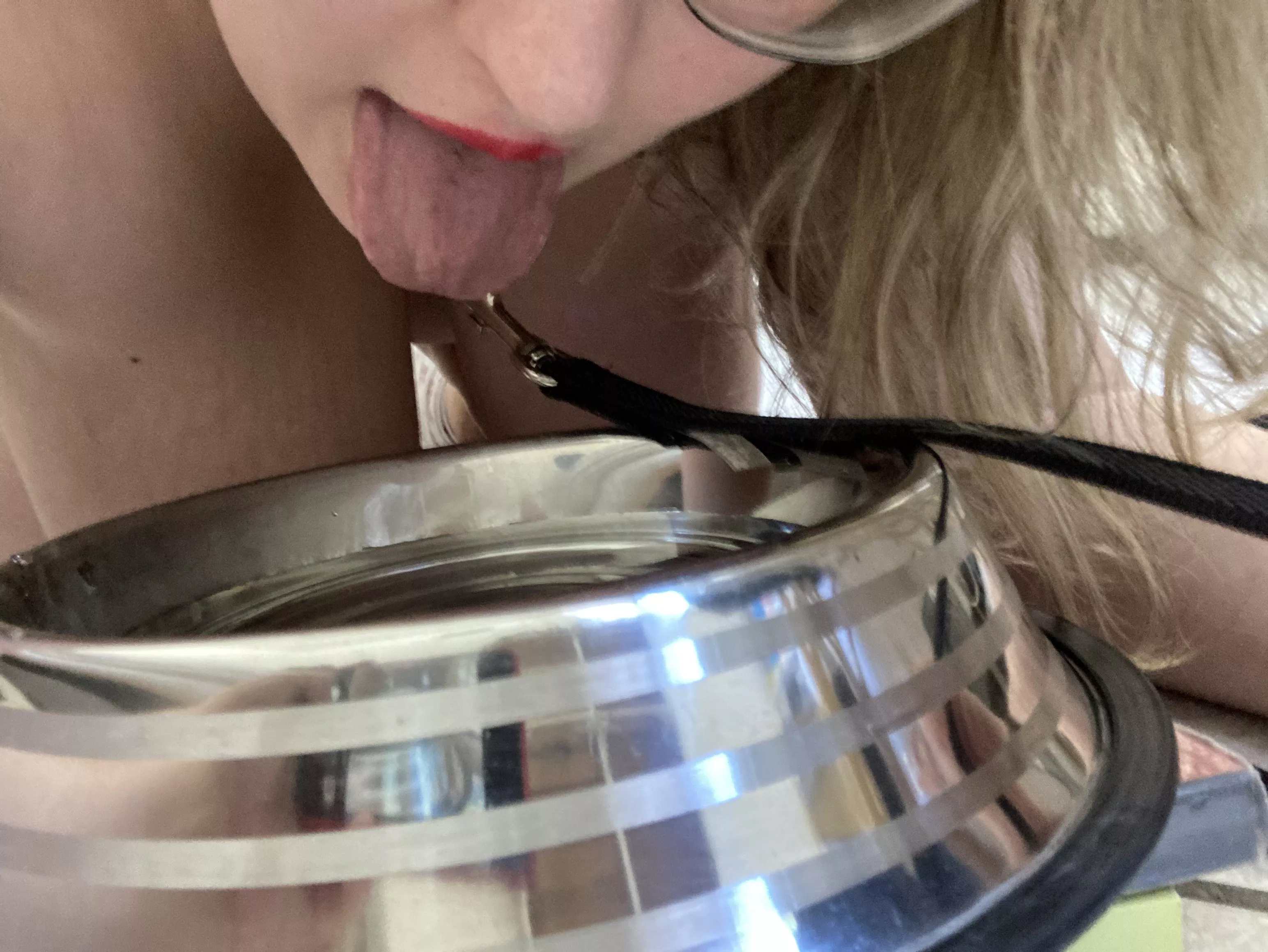 From now on, my Master ordered me to always drink in my dog bowl. Thank you Sir, I am your dog. posted by s_eliana