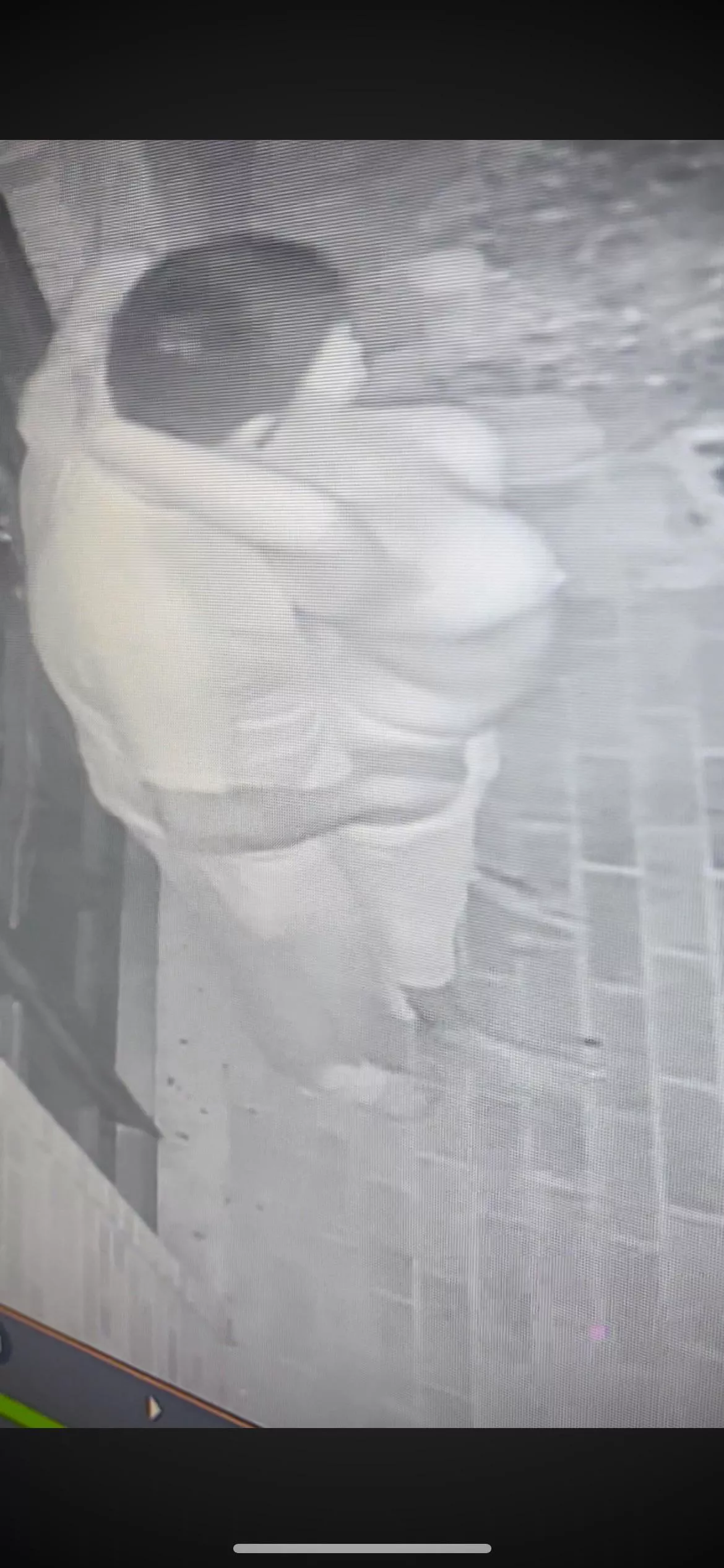 Front door fun 🤩 posted by Clean_Major_2467