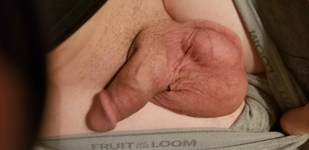 Fruit by 6MonkeysUncle9