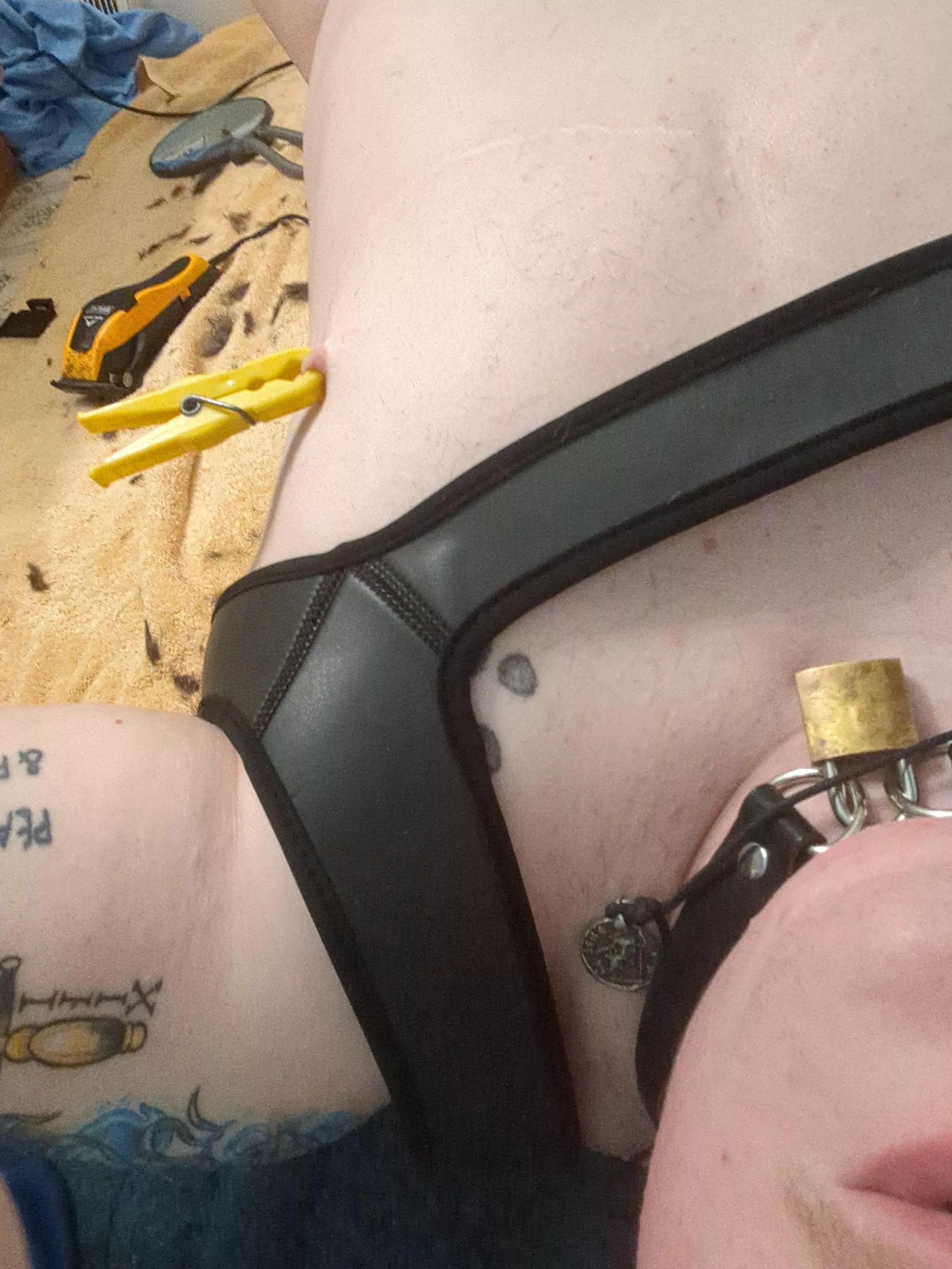 (ftm) puppy getting groom and playing with self! posted by undercutpup